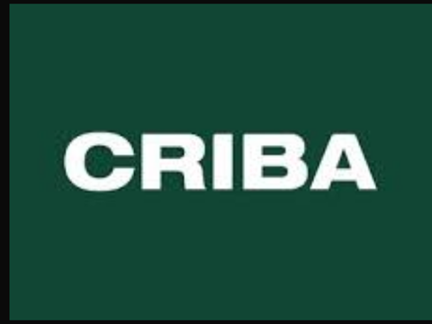 Criba — marca que trabajó con Agustina Giner